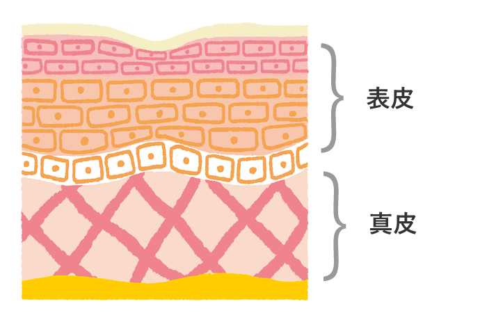 そのしわ対策、間違えてません？顔のたるみとシワを改善する乾燥と紫外線対策